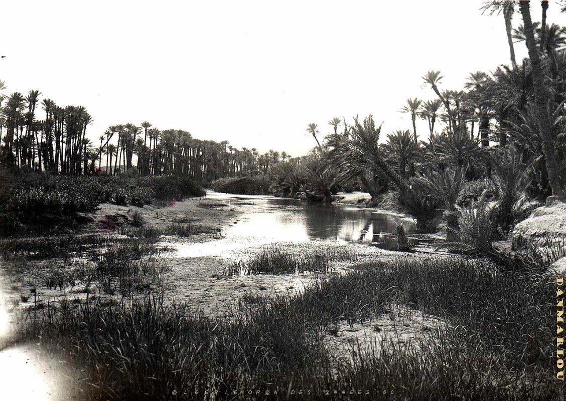 Sud oranais 007-Monneret.jpg